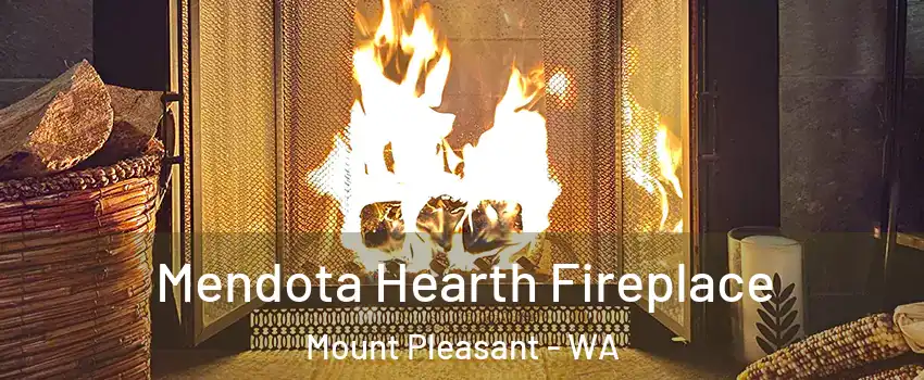 Mendota Hearth Fireplace Mount Pleasant - WA