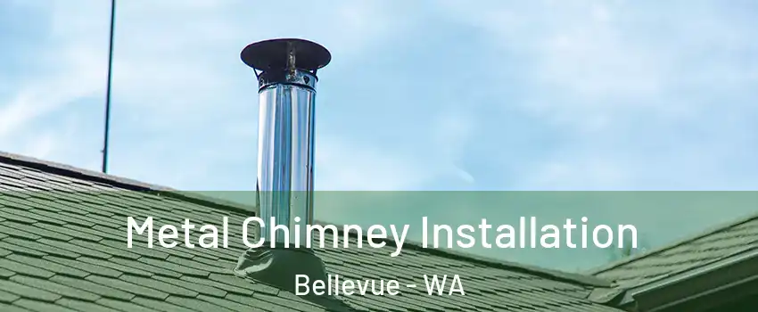 Metal Chimney Installation Bellevue - WA