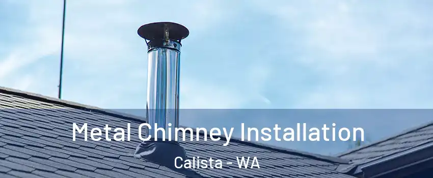 Metal Chimney Installation Calista - WA