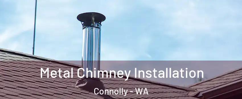 Metal Chimney Installation Connolly - WA