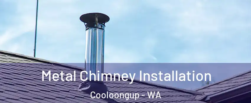 Metal Chimney Installation Cooloongup - WA