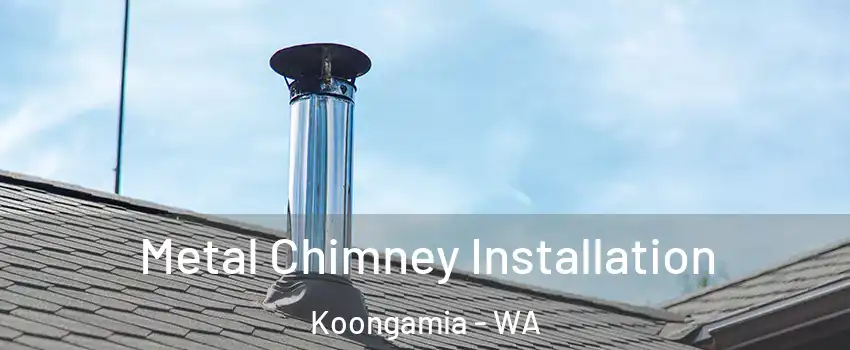 Metal Chimney Installation Koongamia - WA