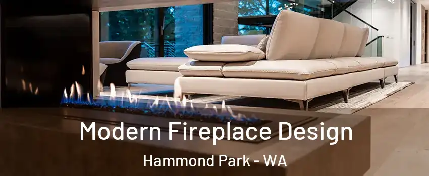 Modern Fireplace Design Hammond Park - WA