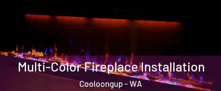 Multi-Color Fireplace Installation Cooloongup - WA