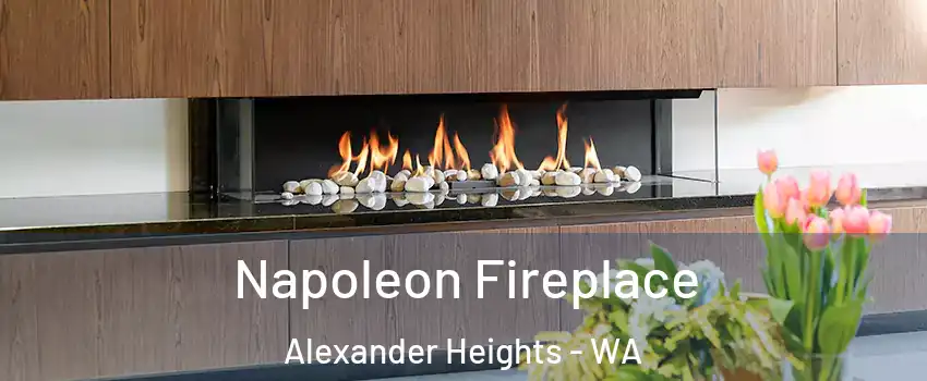 Napoleon Fireplace Alexander Heights - WA
