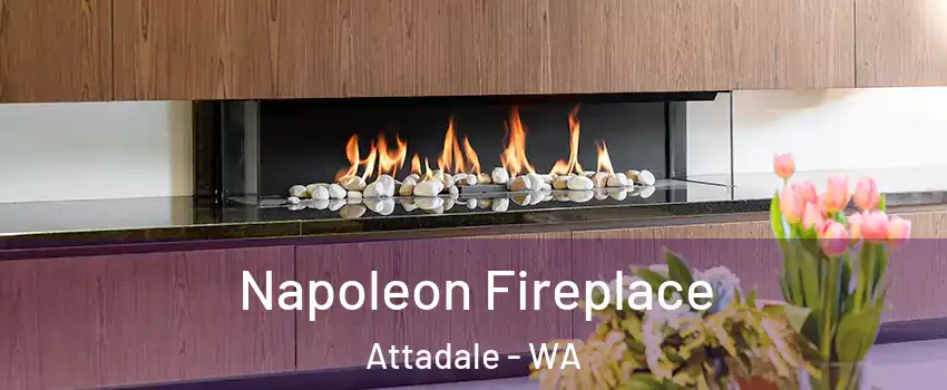 Napoleon Fireplace Attadale - WA
