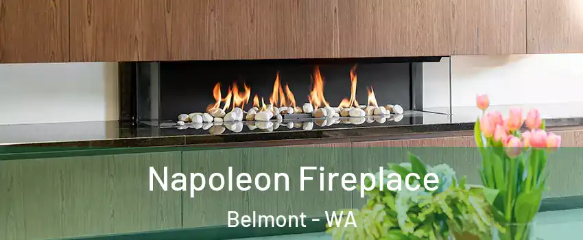Napoleon Fireplace Belmont - WA