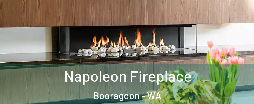 Napoleon Fireplace Booragoon - WA