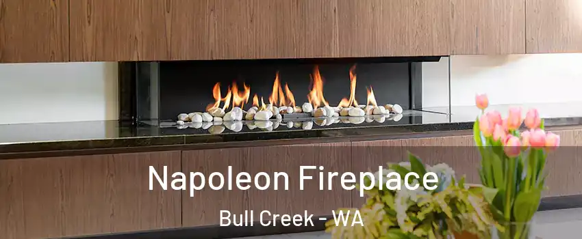 Napoleon Fireplace Bull Creek - WA