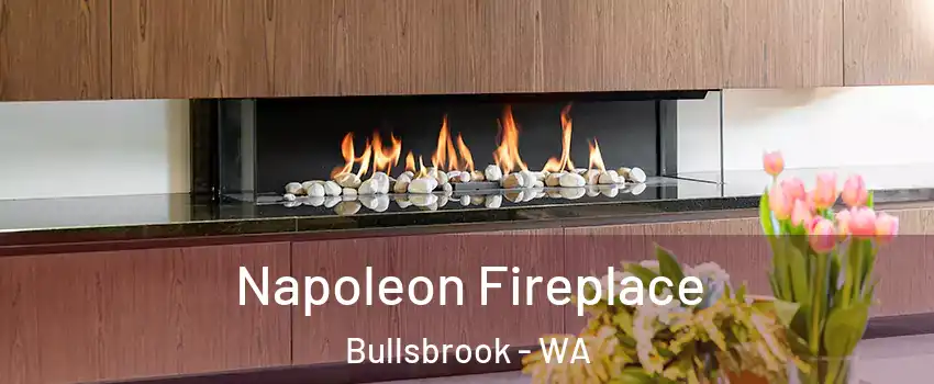 Napoleon Fireplace Bullsbrook - WA