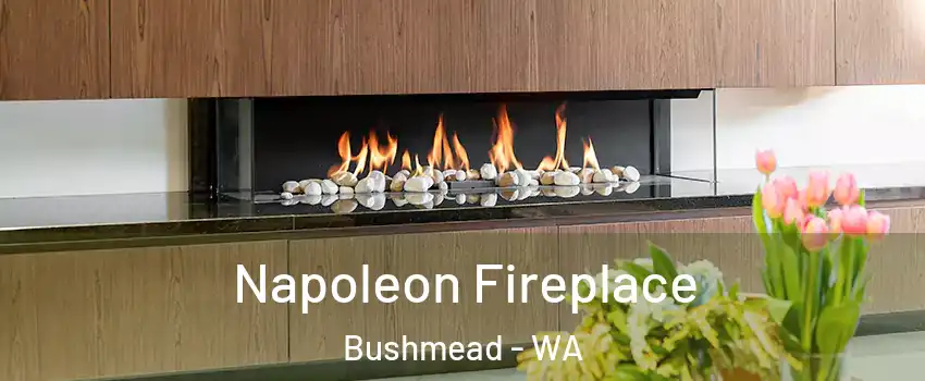 Napoleon Fireplace Bushmead - WA