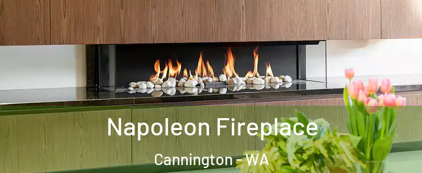 Napoleon Fireplace Cannington - WA
