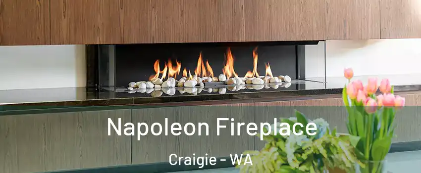 Napoleon Fireplace Craigie - WA