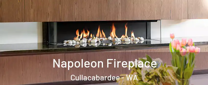 Napoleon Fireplace Cullacabardee - WA