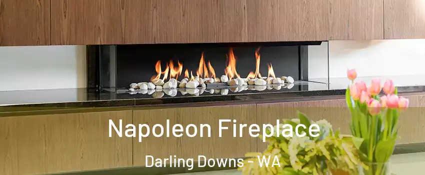 Napoleon Fireplace Darling Downs - WA