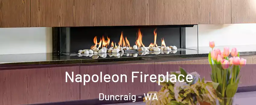 Napoleon Fireplace Duncraig - WA