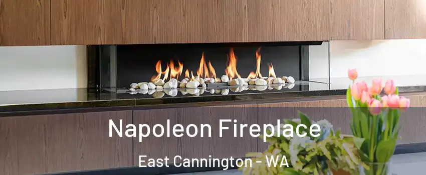Napoleon Fireplace East Cannington - WA