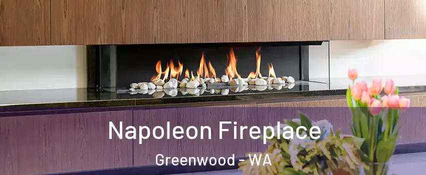Napoleon Fireplace Greenwood - WA