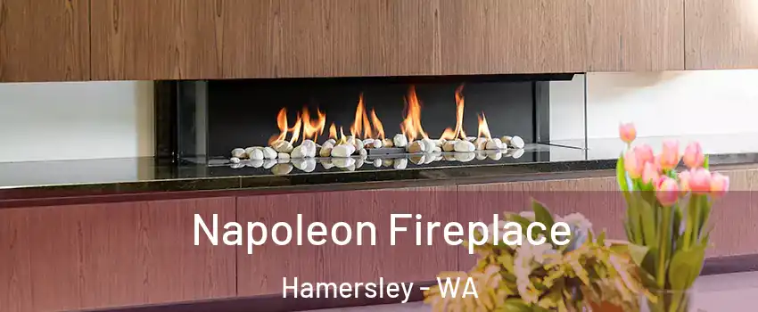 Napoleon Fireplace Hamersley - WA