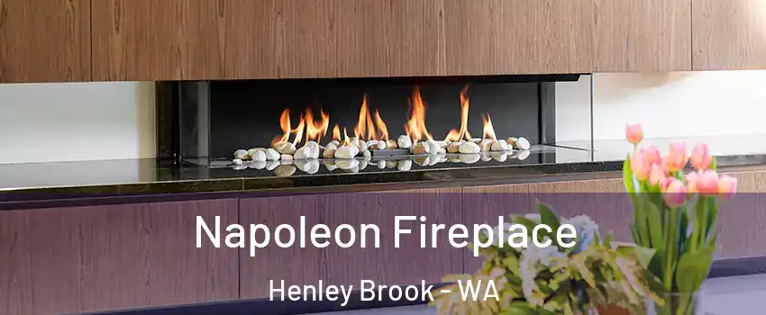 Napoleon Fireplace Henley Brook - WA