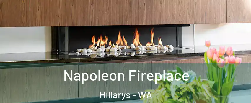 Napoleon Fireplace Hillarys - WA