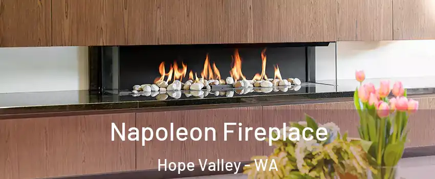 Napoleon Fireplace Hope Valley - WA