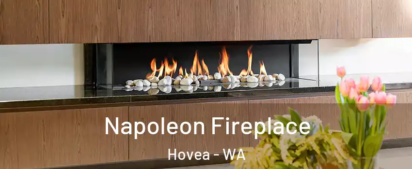 Napoleon Fireplace Hovea - WA