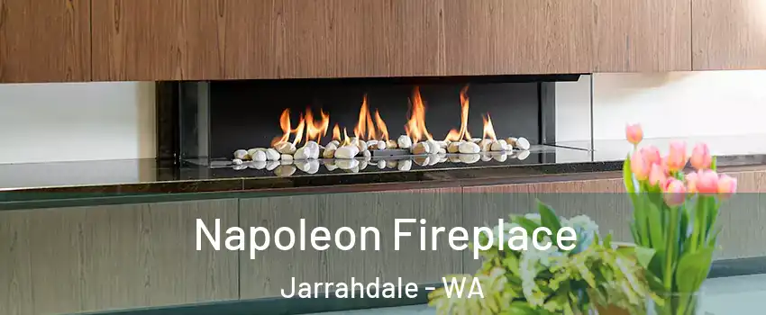 Napoleon Fireplace Jarrahdale - WA