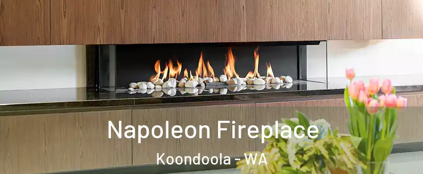 Napoleon Fireplace Koondoola - WA