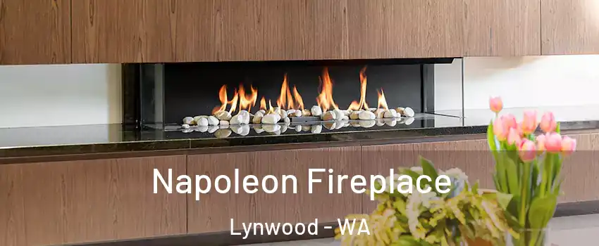 Napoleon Fireplace Lynwood - WA