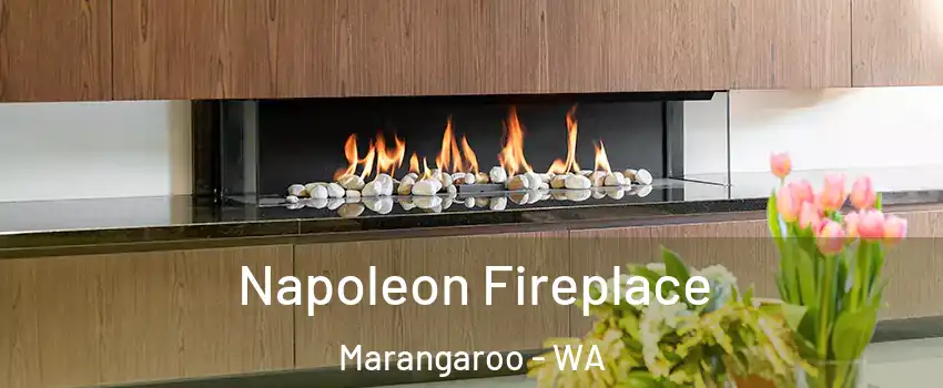 Napoleon Fireplace Marangaroo - WA