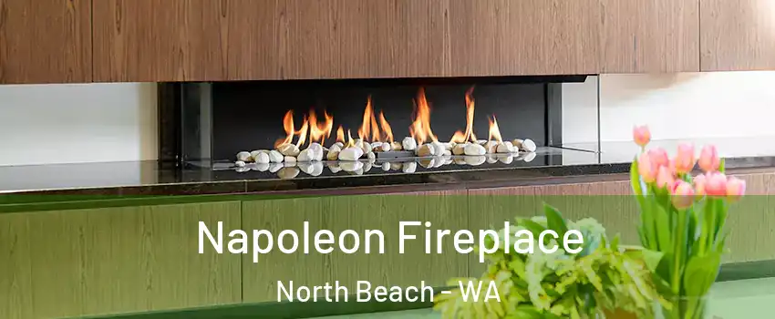 Napoleon Fireplace North Beach - WA