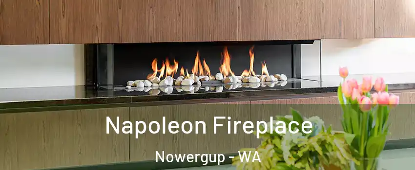 Napoleon Fireplace Nowergup - WA