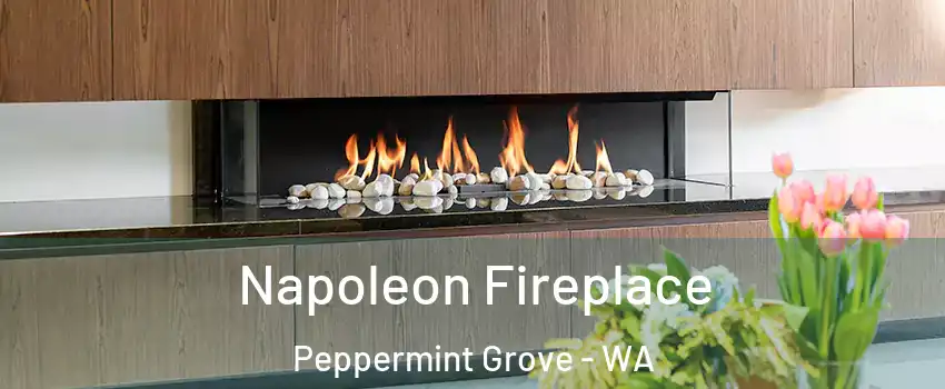 Napoleon Fireplace Peppermint Grove - WA