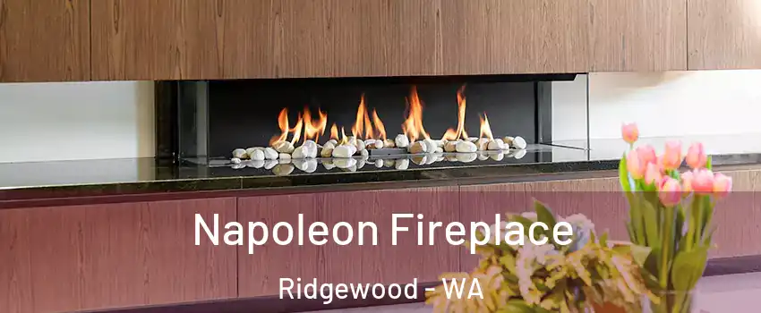Napoleon Fireplace Ridgewood - WA