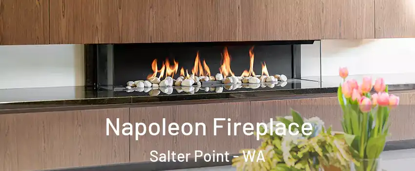 Napoleon Fireplace Salter Point - WA