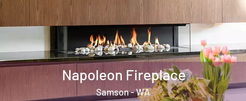 Napoleon Fireplace Samson - WA