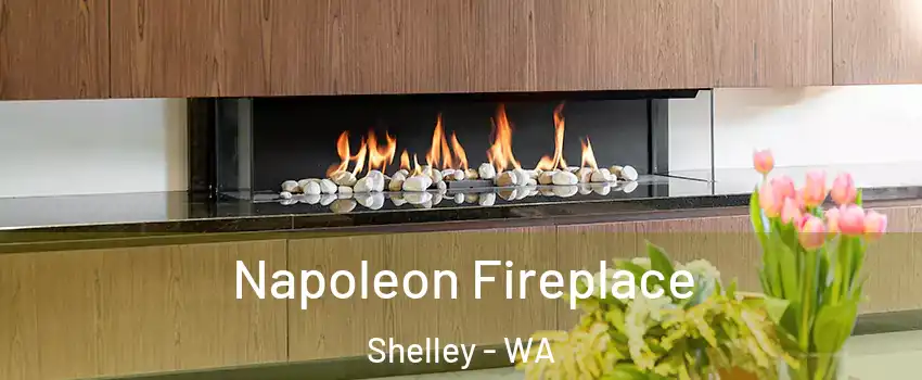 Napoleon Fireplace Shelley - WA