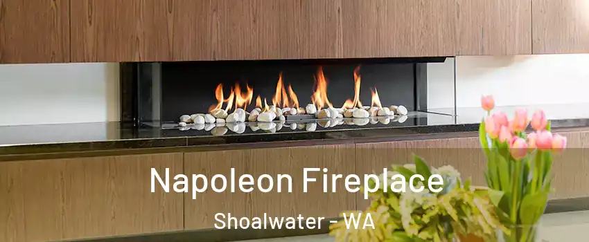 Napoleon Fireplace Shoalwater - WA