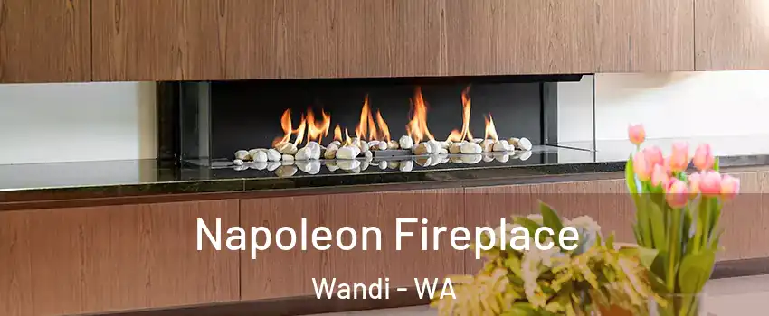 Napoleon Fireplace Wandi - WA
