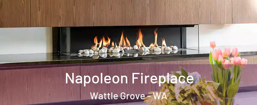Napoleon Fireplace Wattle Grove - WA