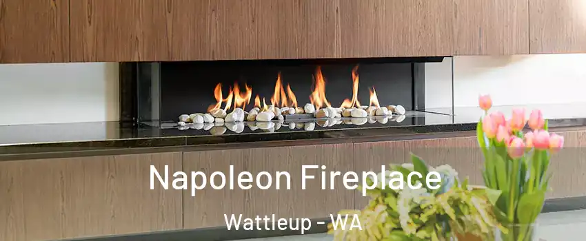 Napoleon Fireplace Wattleup - WA