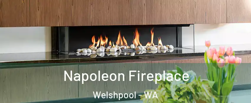 Napoleon Fireplace Welshpool - WA