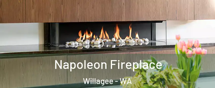 Napoleon Fireplace Willagee - WA