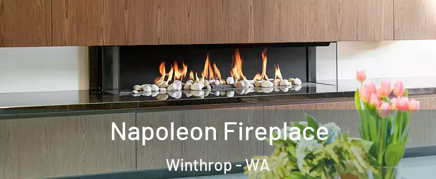 Napoleon Fireplace Winthrop - WA