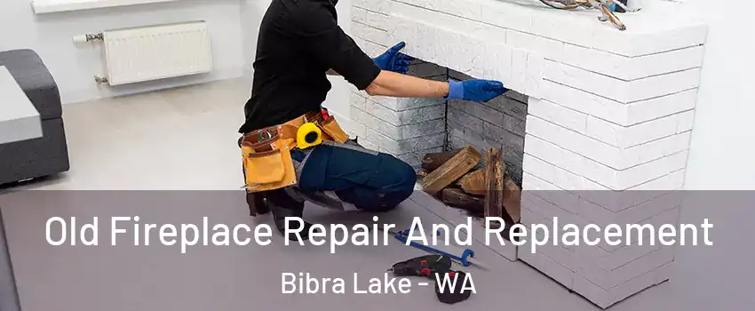 Old Fireplace Repair And Replacement Bibra Lake - WA