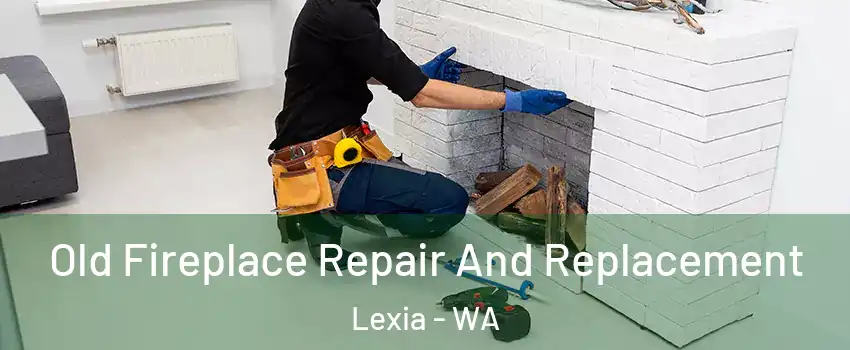 Old Fireplace Repair And Replacement Lexia - WA