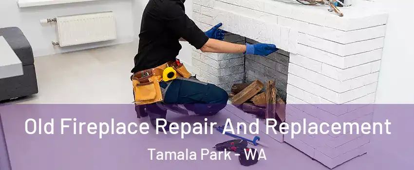 Old Fireplace Repair And Replacement Tamala Park - WA