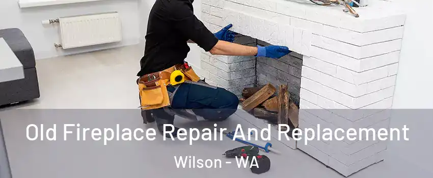 Old Fireplace Repair And Replacement Wilson - WA