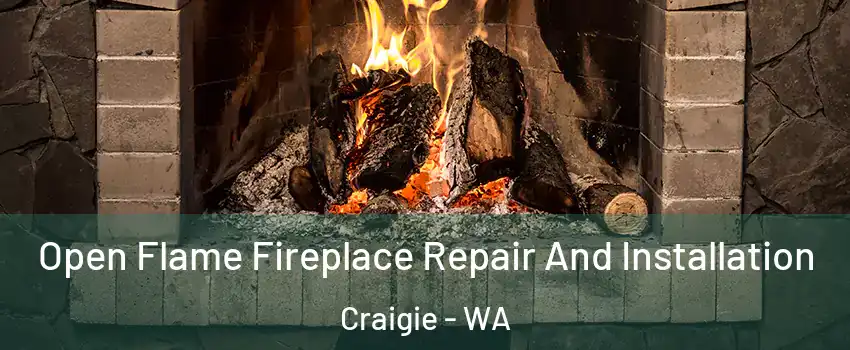 Open Flame Fireplace Repair And Installation Craigie - WA